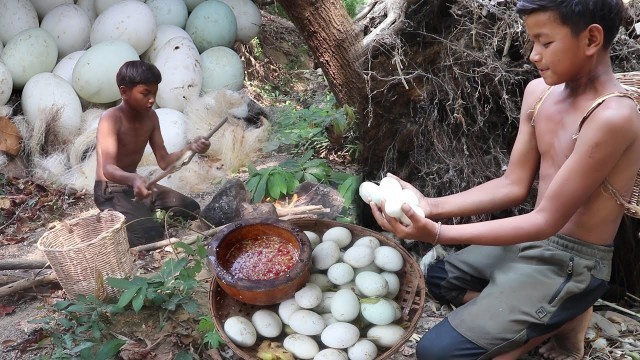 'Find meet Baby eggs duck Nearby river in jungle for food - cook Baby eggs duck Eating delicious# 113'