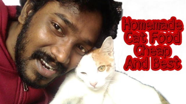 'Homemade Cats Food Cheap And Best | Tamil | Vinothjustice'
