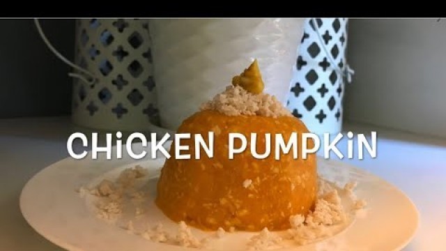 'FAVE KITTY: HOW TO MAKE HOMEMADE CAT FOOD ( CHICKEN PUMPKIN)'