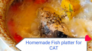 'How to make Homemade fishplater for cat | Homemade cat food |'