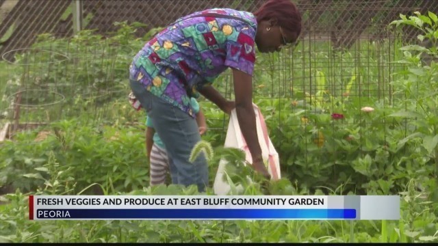 'East Bluff Community Center garden grows fresh food, veggies for people nearby'
