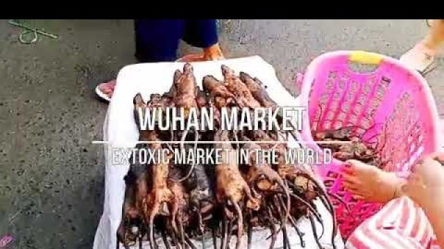 'Wuhan food market'