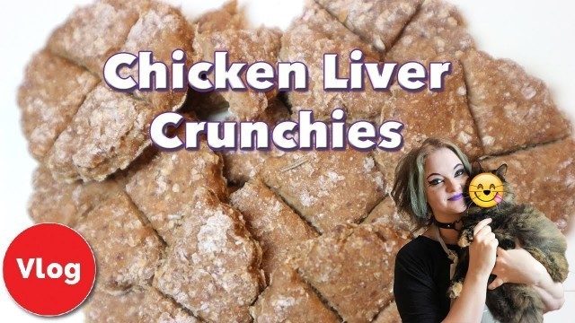 'How to Make Chicken Liver Crunchies! Nutritious Homemade Treats For Your Cat! + COMPETITION!'