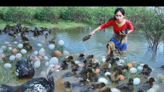 'Woman with monkey helped baby duck and cook eggs at bamboo hut - Eating delicious'