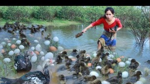 'Woman with monkey helped baby duck and cook eggs at bamboo hut - Eating delicious'