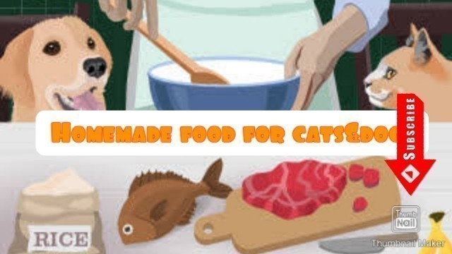 'Homemade cat|dog food.'