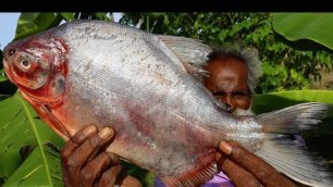 'Authentic MINT FISH Fry by Daddy Arumugam / Village food factory'