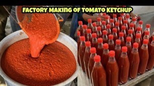 'देखिए फैक्ट्री में कैसे बनता है Tomato Ketchup