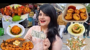 'Rs 500 Street Food Challenge | Indore Food Challenge'