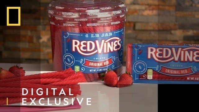 'How Red Vines Are Made | Food Factory | National Geographic UK'