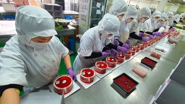 '케익공장의 압도적인 대량생산 6편 몰아보기(Amazing Cake Factory Mass Production-Korean Food)'
