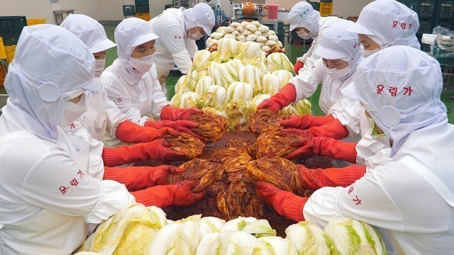 'K-FOOD의 진수! 국산재료로 만드는 다양한 김치(배추, 오이, 파, 깻잎) 대량생산 현장 - Mass production of various korean Kimchi'