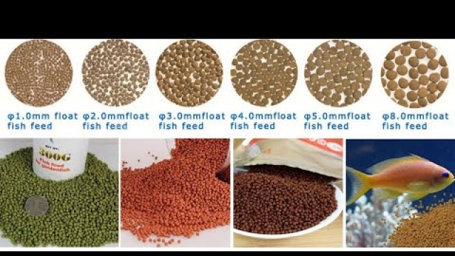 'large scale pet food plant feed pellet production line'