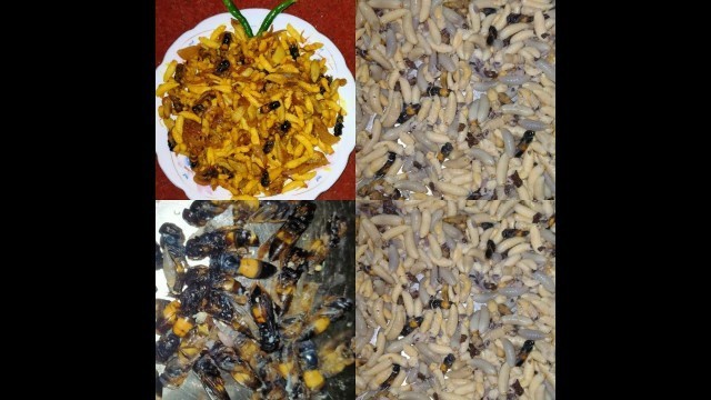'Cooking Wasps Larvae (টেকেলি কোদো) || Tasty @Creamy || Bizzare food of North East'