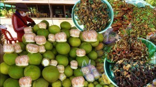 'Spider, Cricket, Grapefruits, Pineapple, Yellow Watermelon, & City Food - Cambodian Street Food Tour'