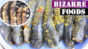 'Grilled Catfish/Amazing  Catfish  Recipes Episode #1| Bizzare Food in Asia'