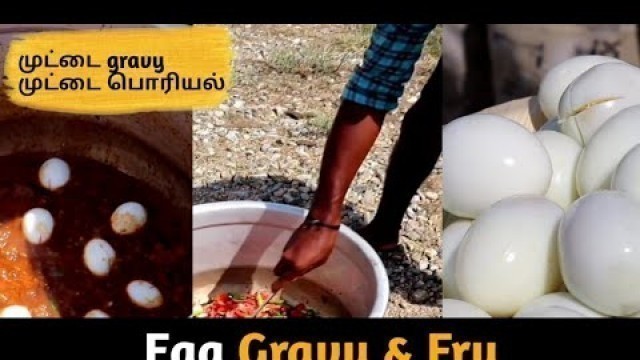 'Egg Pepper Gravy & Egg பொரியல் | Today Egg Special | Food Tech'