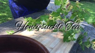 'The Beauty of Honeysuckle Tea'