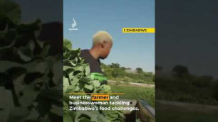 'Meet the farmer tackling Zimbabwe’s food challenges | Africa Direct | AJ #shorts'