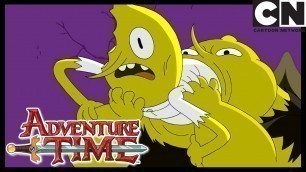 'Adventure Time | Too Old | Cartoon Network'