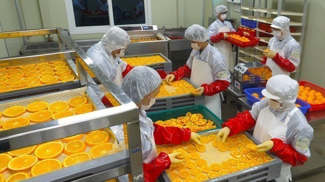 '힐링됩니다!  오렌지와 마쉬멜로우 대량으로 건조하기(직접 개발한 3억짜리 기계) / Orange and Marshmallow Dry Food Factory'