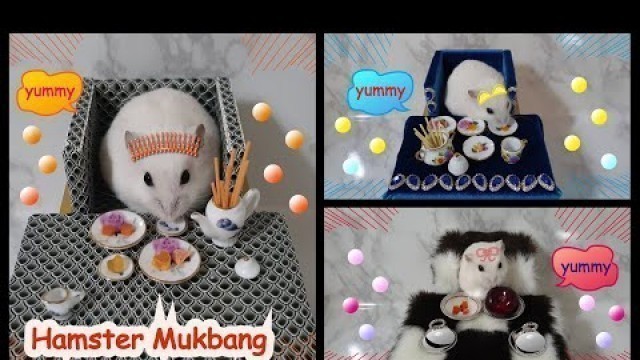 'Hamster Eating Show Compilation 3 - Orange Food, Yellow Food, Red Food 햄스터 먹방 모음 3'