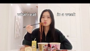 'what i eat in a week (korean food + finals week)'