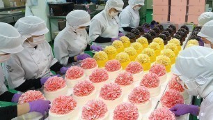 '아름답습니다! 케익공장에서 대량으로 만드는 카네이션 3종 케익 / Elegant beauty! Carnation Flower Cake-Cake Factory'